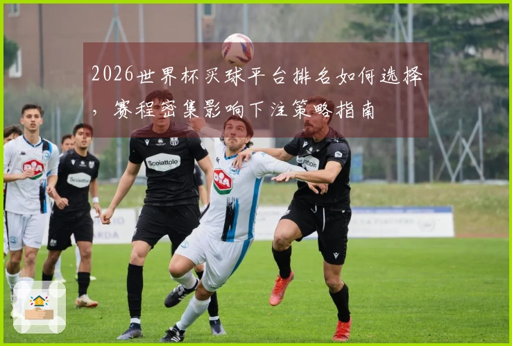 2026世界杯买球平台排名如何选择，赛程密集影响下注策略指南