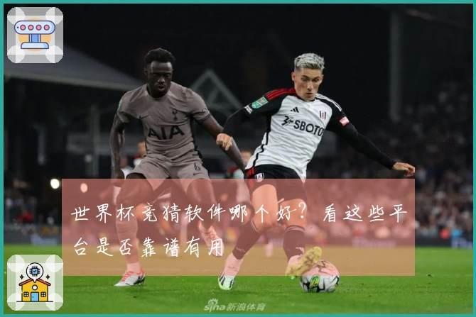 世界杯竞猜软件哪个好？看这些平台是否靠谱有用
